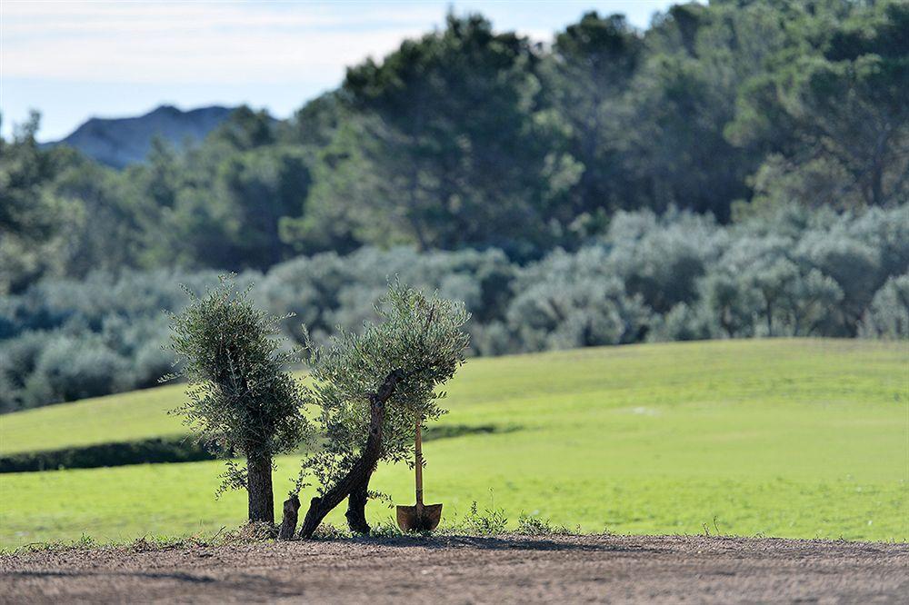Domaine De Manville Les Baux-de-Provence Esterno foto